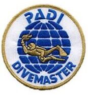padi dive master